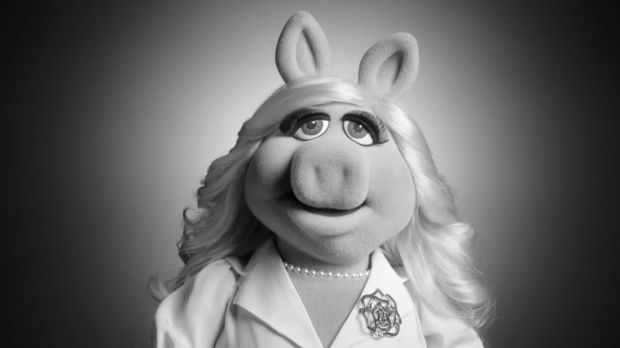 The Muppets - The Muppets - Staffel 1 Episode 12: Zeigt Her Eure Schwänzchen!